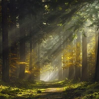 im电竞在线登录