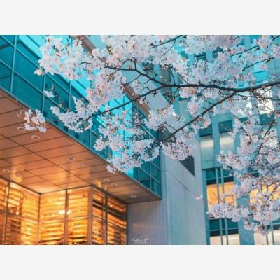 开元im电竞官网