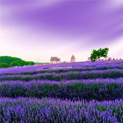 大发黄金版888下载下载手机版截图